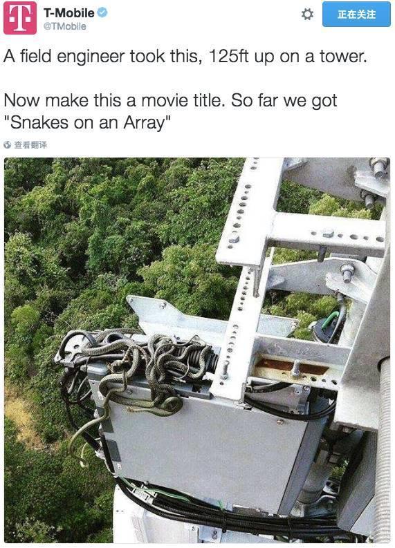 慎入！通信机房里蛇鼠乱窜：最后一张好吓人